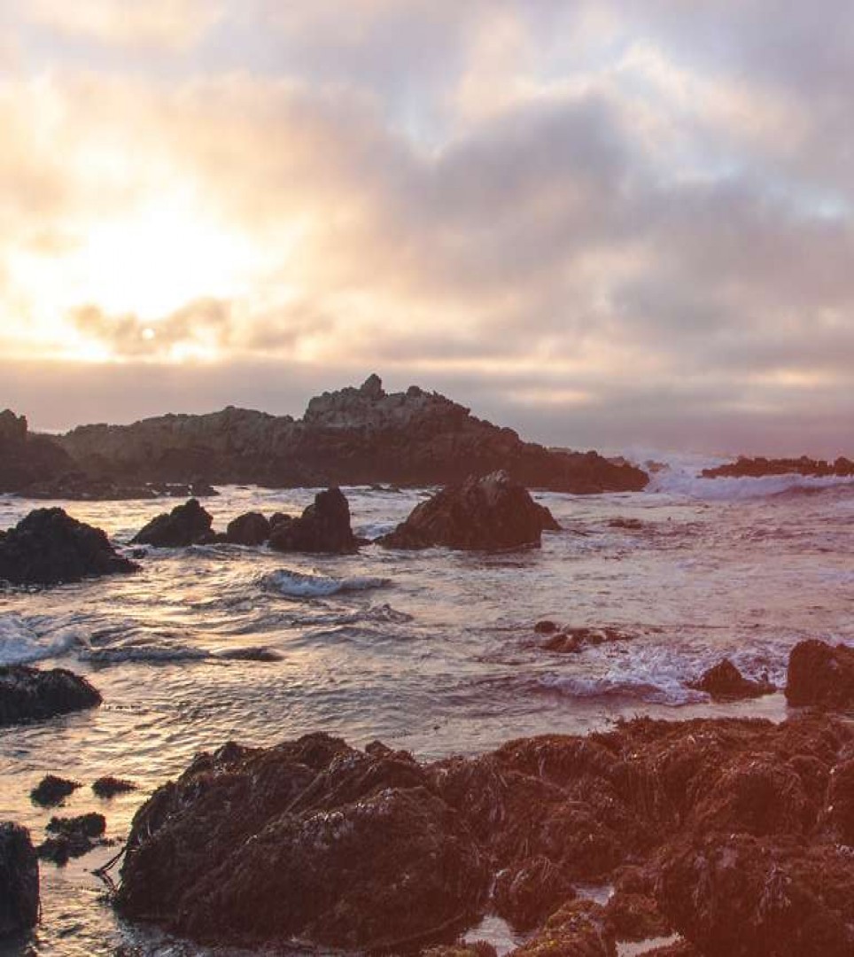  BE PREPARED WITH OUR PACIFIC GROVE WEATHER FORECAST