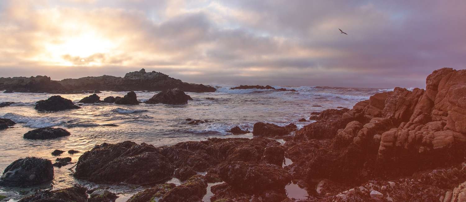  BE PREPARED WITH OUR PACIFIC GROVE WEATHER FORECAST