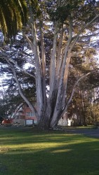 Butterfly Grove Inn - Exterior Landscape