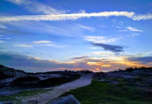 Butterfly Grove Inn - Sunset in Pacific Grove