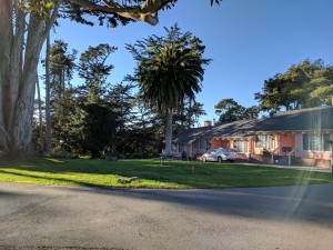 Butterfly Grove Inn - Hotel Driveway