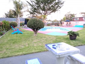 Butterfly Grove Inn - Outdoor Pool