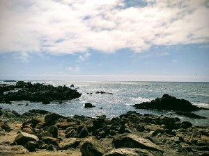 Butterfly Grove Inn - Pacific Ocean