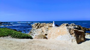 Butterfly Grove Inn - Pacific Ocean